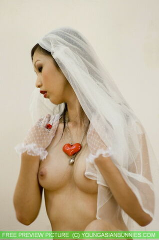 Stunning Chinese bride wears a veil