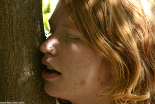Redheaded stunner affixed to a tree